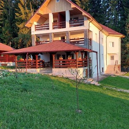 Pensiunea Madalina Дурау Екстер'єр фото